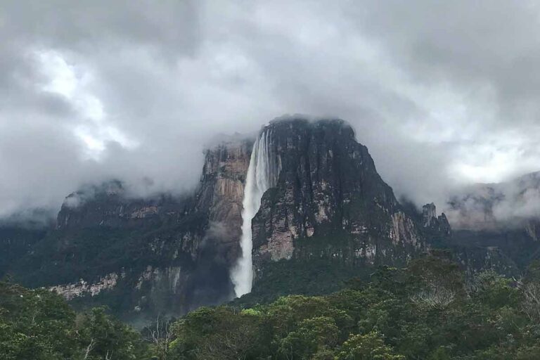 Into the Venezuelan Jungle: The Trek to Angel Falls