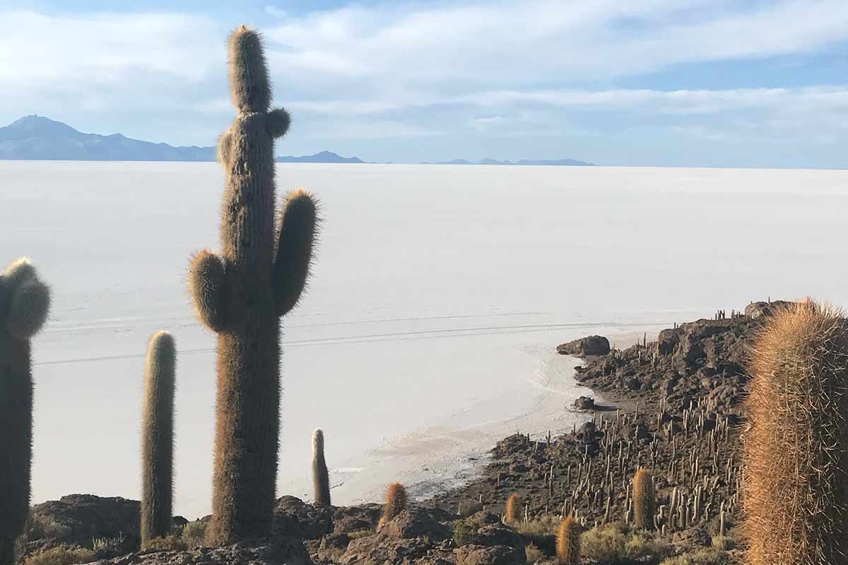 incahuasi island bolivia salt flats