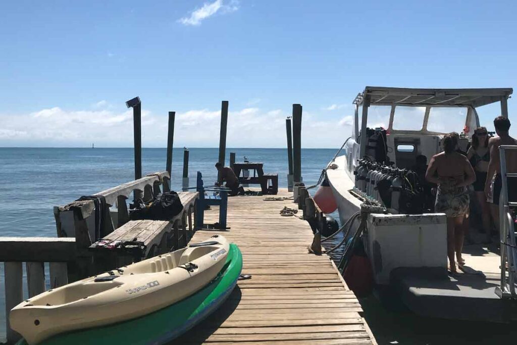 Is Utila Safe? 2024 The Ultimate Safety Guide