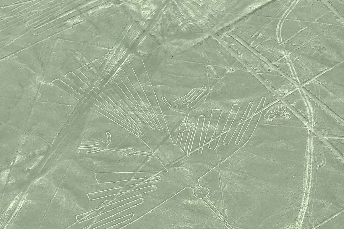 the nazca lines